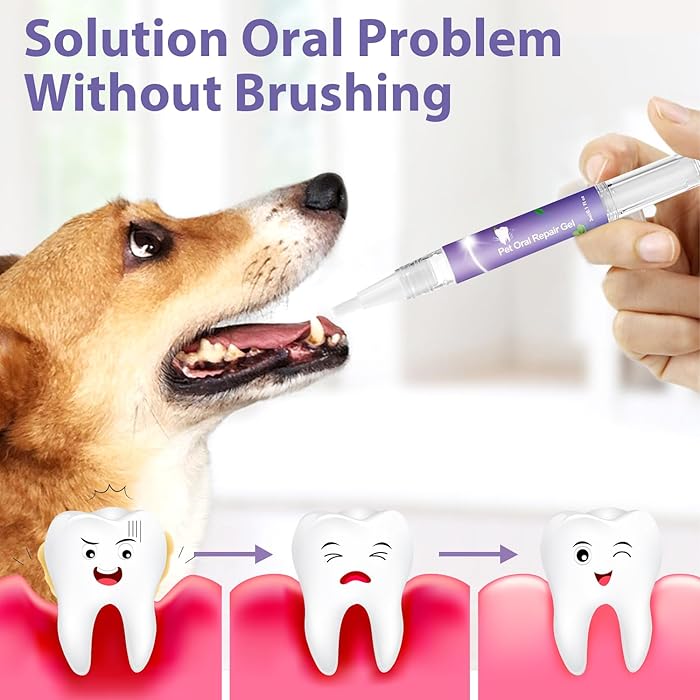 DogCatFri™ DentalPet: Huisdieren Tandheelkundige Reparatie En Reinigen Gel