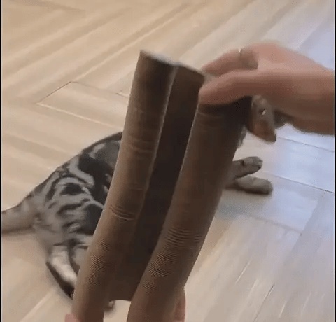 De Kattenscratcher™ | Krabben en Spelen voor Elke Kat