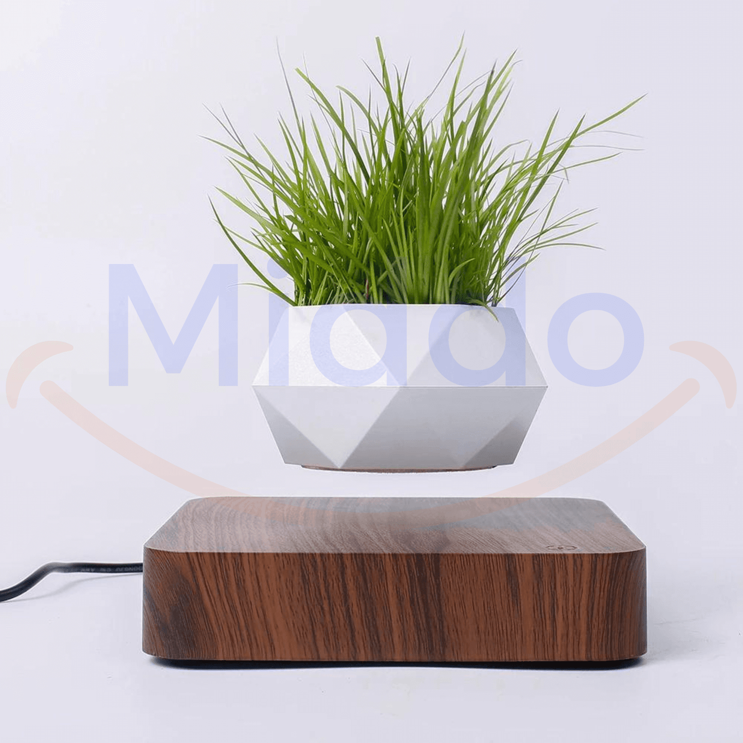 FloatPot™ | Magisch Zwevende Plantenpot voor Moderne Woningdecoratie