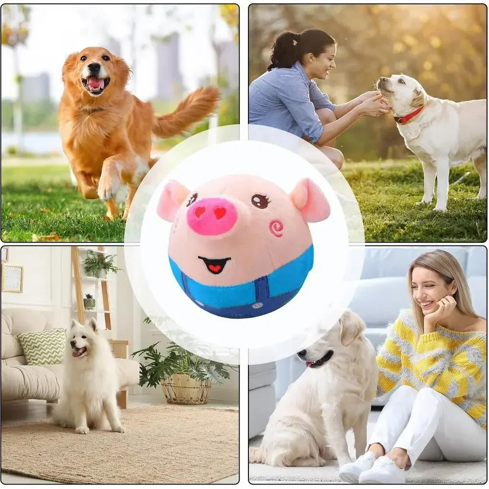 DogCatFri™ BouncingToy: Interactieve Huisdier Stuiterende Pluche Speelgoed Bal