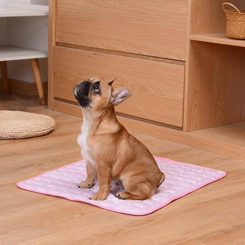 Coolmat™ | Warmte Absorberende Huisdiermat voor Koeling en Comfort