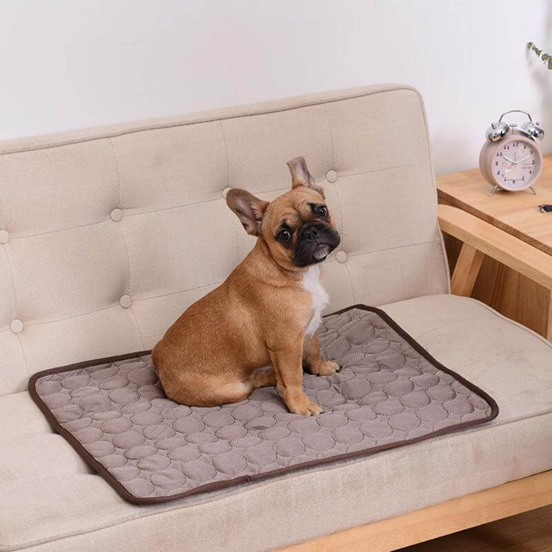 Coolmat™ | Warmte Absorberende Huisdiermat voor Koeling en Comfort