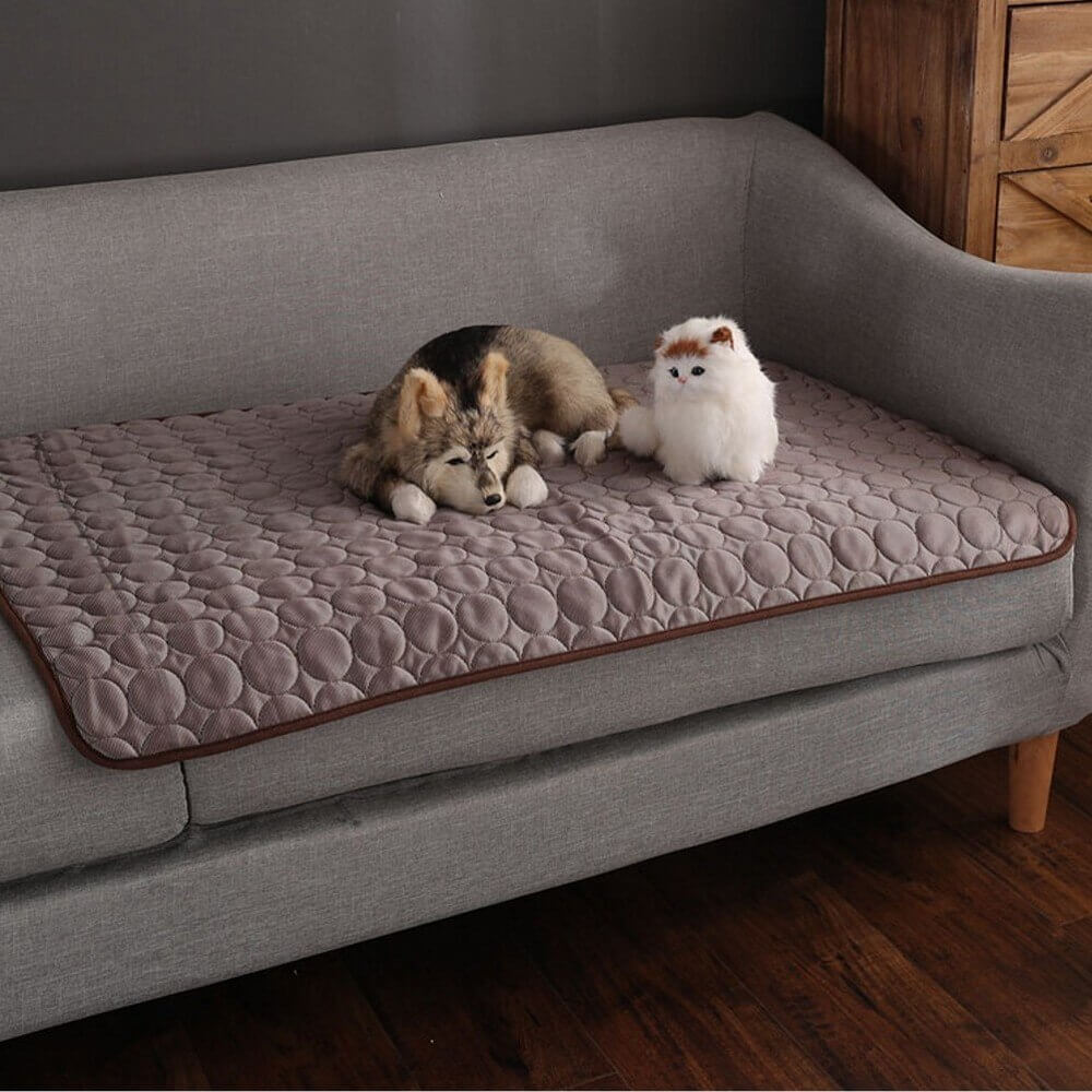 Coolmat™ | Warmte Absorberende Huisdiermat voor Koeling en Comfort