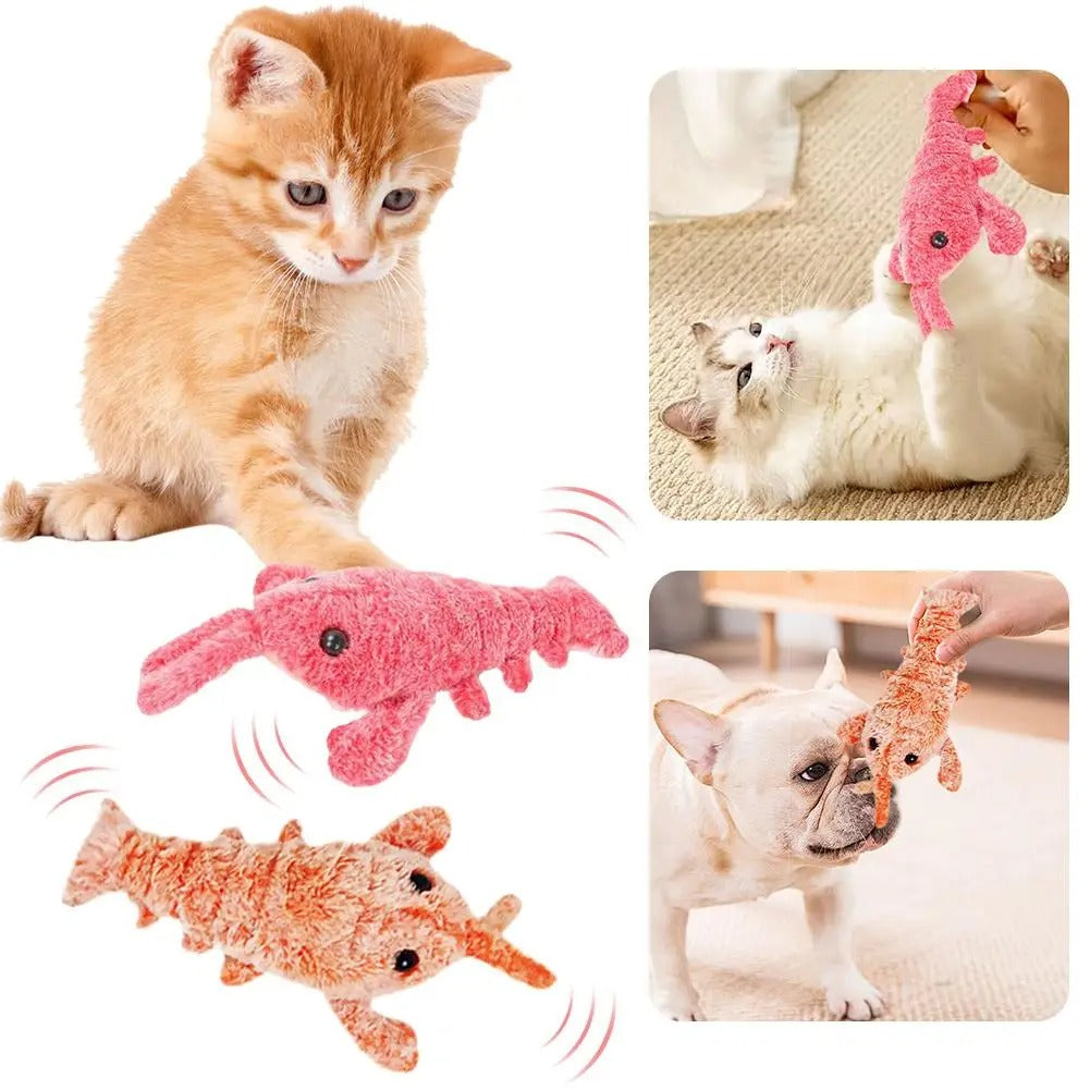 DogCatFri™ PlushToy - Interactief Pluchen Speelgoed Voor Huisdieren