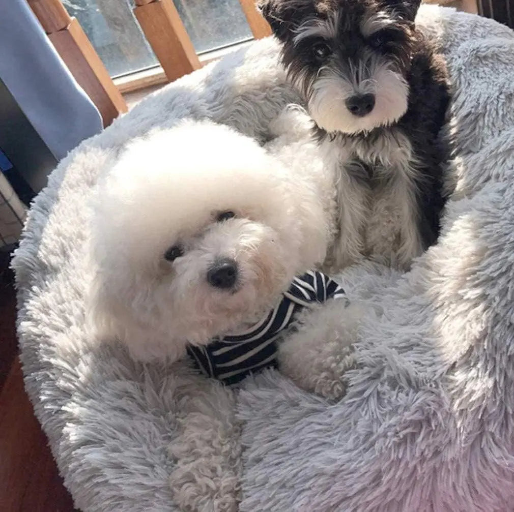 DogCatFri™ FurryBed: Comfortabel En Kalmerende Bed Voor Huisdieren