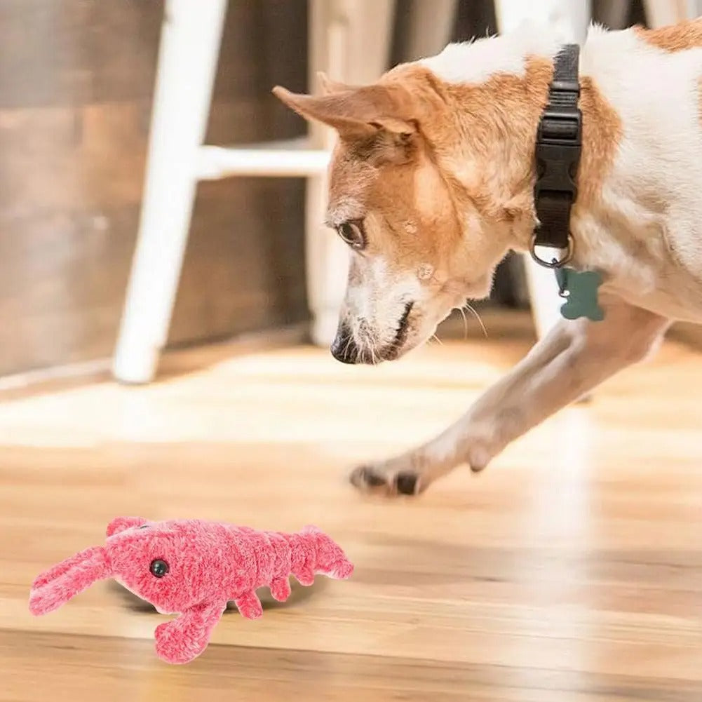DogCatFri™ PlushToy - Interactief Pluchen Speelgoed Voor Huisdieren