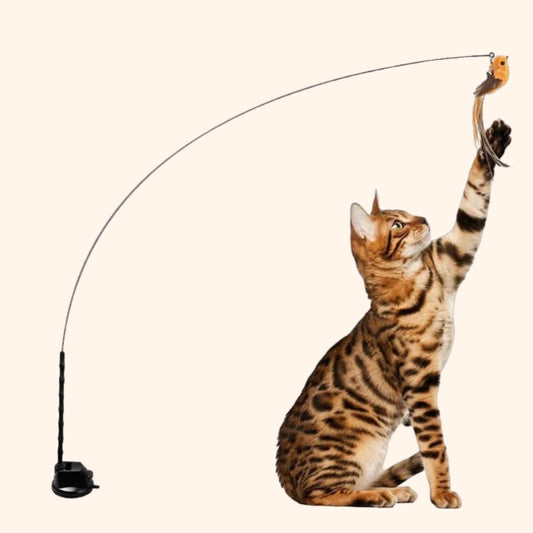 CharmPaws™ Vogel Jacht-Simulator Set Original