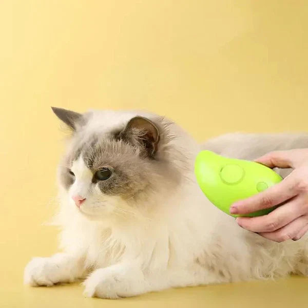 DogCatFri™ SteamBrush: Stoom Huisdieren Verzorging Borstel