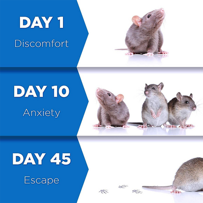Pest Reject™ | Geen last meer van insecten!